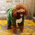 狗狗沒想像中的那麼聰明？聽到坐下指令竟還要貓咪親自示範！