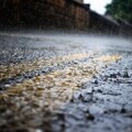 下雨也想要散步！超可愛小柴犬讓網友心被融化