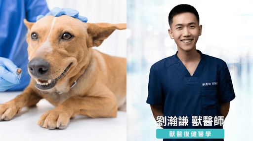 肌肉是關節最好的護具 獸醫師提醒關注寵物肌少症