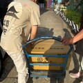 鼎藝學院送暖行動 創始人李文恩先生率團隊赴庭芳啟智教養院關懷弱勢