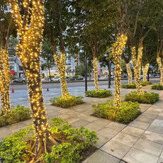 阿囉哈LED總匯打造全台聖誕燈飾新風貌，點亮冬日社區溫度