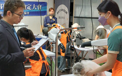 AI 時代最強「不被取代」職涯！角落貓學堂攜手 KCT 推出南台灣首場貓美容檢定