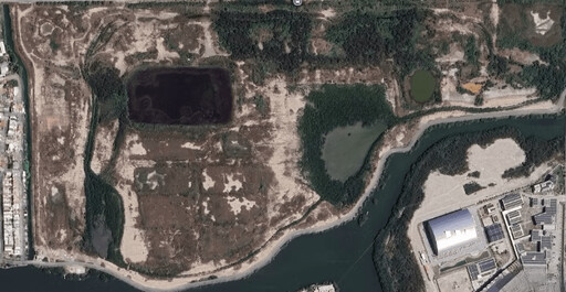 企業永續新模式!Walkii 打造「步數換植樹」行動,助百家企業落實 ESG