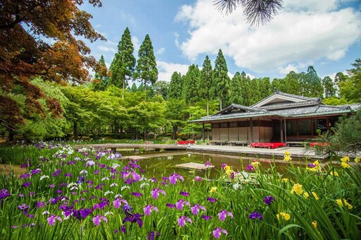 再創佳績！太平洋旅行社榮獲發現心日本獎 x 國際金旅獎 雙獎殊榮齊獲
