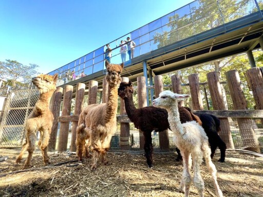 壽山動物園榮獲「台灣建築首獎」建築與動物共融，感受無間的連結