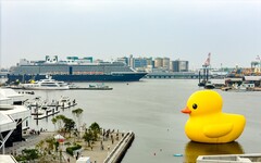 黃色小鴨魅力無窮！高雄國際觀光吸引逾870萬人次朝聖