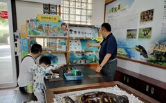 窺探海龜奧秘│小琉球遊客中心打造「世界海龜介紹」櫥窗