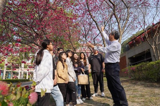 大葉大學社區小旅行規劃課程 校園即教室櫻花樹下學習