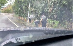 雨勢強襲路樹倒塌 長竹警民合作排除障礙