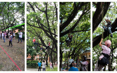 200名大小朋友攀樹走繩，體驗高雄客家文化園區別樣樂趣