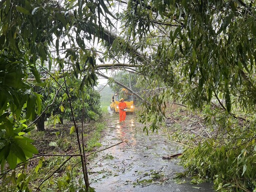 凱米颱風釀災 台電台南區處風雨中移除樹木積極修復設備