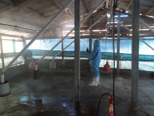 凱米颱風後 高市動保處協助受災畜牧場強化消毒