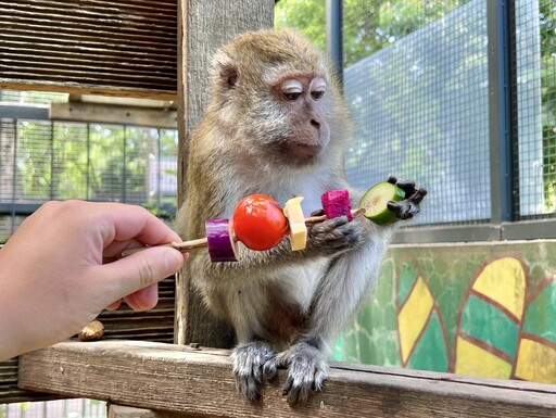 壽山動物園打造中秋野營風 動物享用特製野營餐點