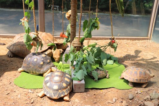 壽山動物園攜手北市動物園 全台50位保育員齊聚環豐工作坊⁠