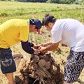 桃園首家獲得認證遊客服務中心 桃竹苗分署輔導大三元休閒農發協會榮獲綠色旅行標章