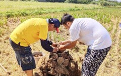 桃園首家獲得認證遊客服務中心 桃竹苗分署輔導大三元休閒農發協會榮獲綠色旅行標章