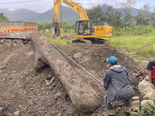 凱米颱風後山老鼠猖獗 六龜分局破獲11人櫸木竊盜集團