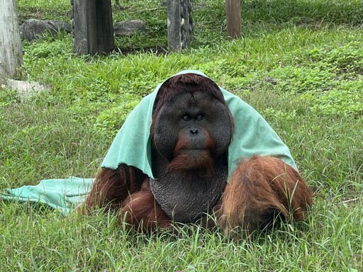 高雄壽山動物園推感恩專案 市府救災人員免費入園