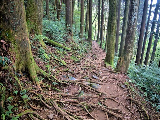 親子同遊頂湖步道 解鎖人生首座小百岳