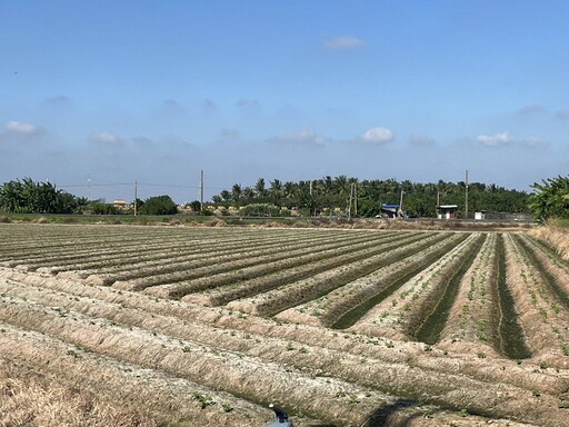 台南農水路大翻新！黃偉哲攜手農水署打造優質農業環境