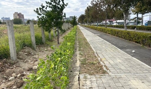 水湳經貿園區綠帶美化 持續推動低碳永續目標