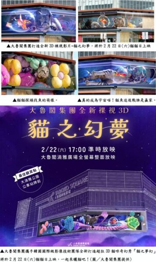 全台貓奴快集合新竹趣! 全新超狂3D貓咪奇幻秀「貓之夢幻」2/22大魯閣湳雅廣場上映