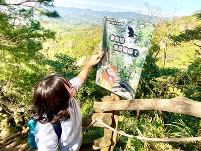 開箱台中市大坑賞鳥秘境 邀民眾探索3號鳥語步道