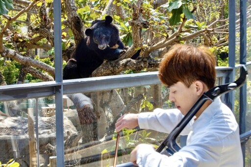 壽山動物園黑熊兄弟慶生 退休保育員分享照養日誌回憶