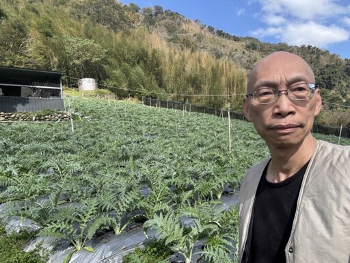 洋薊蔬菜皇解酒保肝？ 生化生理機轉是什麼？