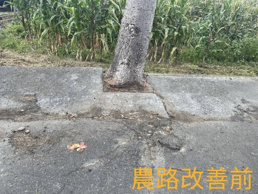 黃偉哲視察將軍農路改善 全國首創融入木棉樹景觀打造特色農路