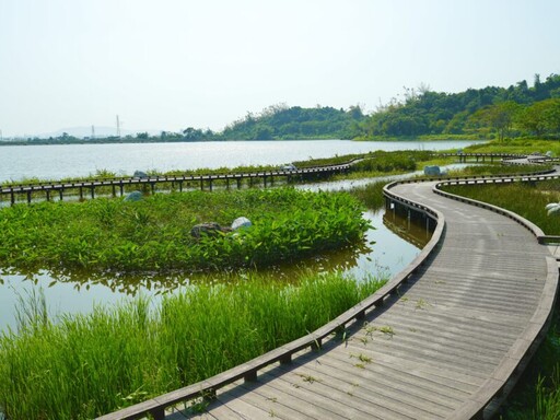 高雄觀音湖大改造 觀光局:打造生態秘境以嶄新風貌迎接遊客