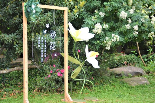 花見幸福•抵嘉桐聚 嘉義市桐花祭浪漫登場