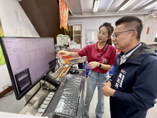 高雄市農業局推AI智慧分級 番茄選別效率提升50% 年產值6.9億元