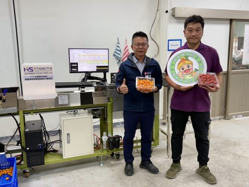高雄市農業局推AI智慧分級 番茄選別效率提升50% 年產值6.9億元
