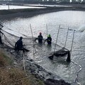 高雄養殖魚塭逾3800公頃 海洋局啟動年度放養申報作業
