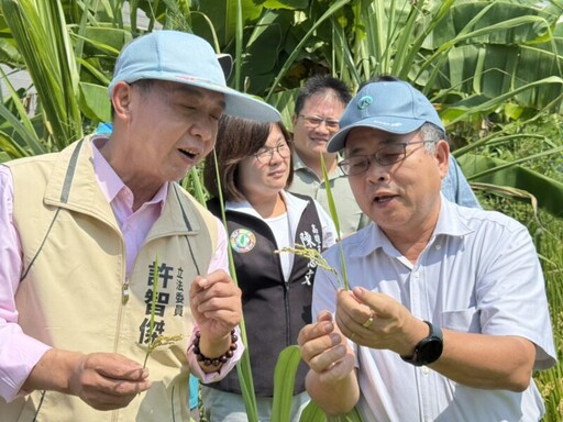 農民嘆空包稻損失慘重 立委許智傑勘災爭取補助
