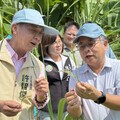 農民嘆空包稻損失慘重 立委許智傑勘災爭取補助