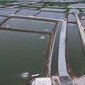 高市海洋局湖內排水改善獲獎！興達養殖區效能大提升