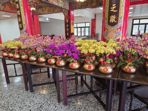 南市農業局媒合蘭花園業者與廟宇推廣蝴蝶蘭