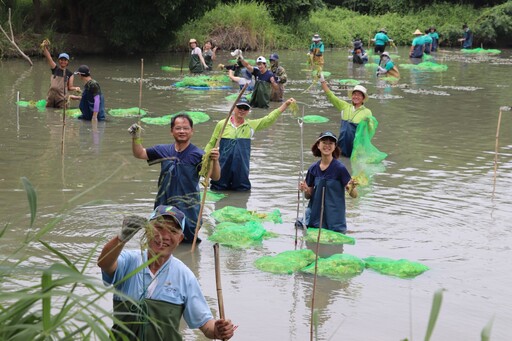 復育水雉棲地 種出一片新浮地