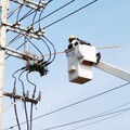 強化電網韌性與供電穩定讓民眾安心過節 台電新竹超前部署電網維護