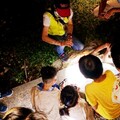 融合美學與永續 「8101B藝術行旅」郵輪式公車路線低碳深度旅行趣
