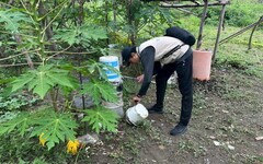 「梅」好生活齊防蚊 台南市府:大家一起「巡倒清刷」！