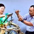 「台中海洋觀光季」首場活動7/6登場 木語·流光—台日草月流漂流木創作展