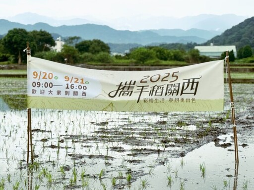 彩稻不是染的！「2025攜手稻關西」插秧啟動 彩繪稻田生活畫布展開