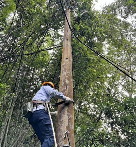 楊柳颱風侵襲 台電新竹區處緊急搶修已完全恢復供電復電率100%