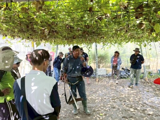 農業局舉辦百香果去藤示範 機械化提升清園效率8倍