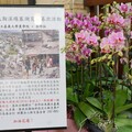 嘉大的愛與關懷 捐蝴蝶蘭與鮮乳助光復鄉重建家園