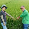張世賢議員質詢：要求區公所坪割水稻需切實