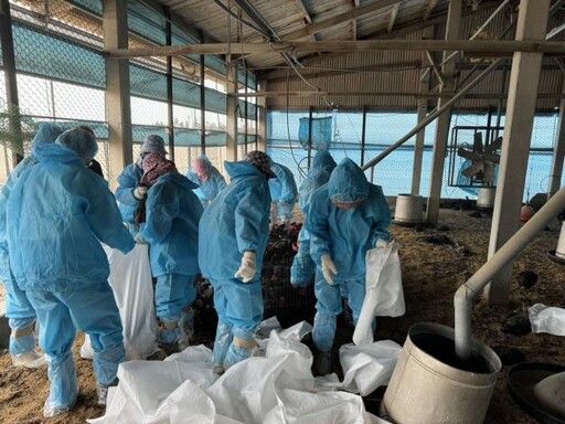 雲林東勢鄉一土雞場確診禽流感 防疫所已撲殺並消毒